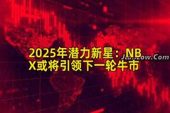 2025年潜力新星：NBX或将引领下一轮牛市