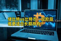 储比特vs比特币：现阶段谁更适合长期持有？