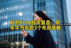 我的CHIA投资复盘：明年牛市前的3个布局策略