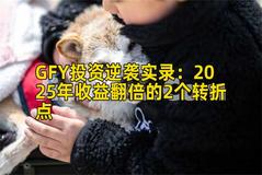 GFY投资逆袭实录：2025年收益翻倍的2个转折点