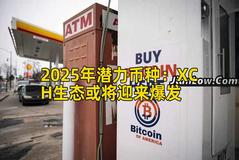 2025年潜力币种：XCH生态或将迎来爆发