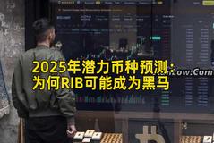2025年潜力币种预测：为何RIB可能成为黑马