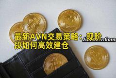 最新AVN交易策略：现阶段如何高效建仓