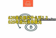 629美元能买什么币？2025年潜力清单曝光