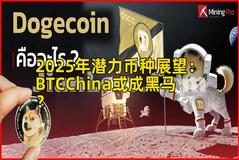 2025年潜力币种展望：BTCChina或成黑马？