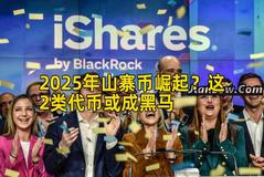 2025年山寨币崛起？这2类代币或成黑马