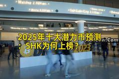 2025年十大潜力币预测：SHK为何上榜？