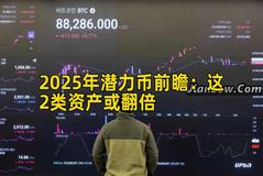 2025年潜力币前瞻：这2类资产或翻倍