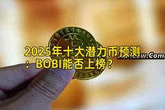 2025年十大潜力币预测：BOBI能否上榜？