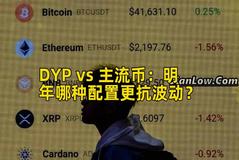 DYP vs 主流币：明年哪种配置更抗波动？