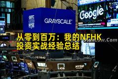 从零到百万：我的NFHK投资实战经验总结