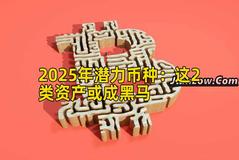 2025年潜力币种：这2类资产或成黑马