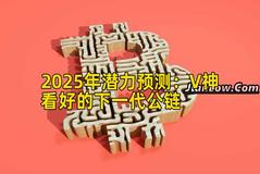 2025年潜力预测：V神看好的下一代公链