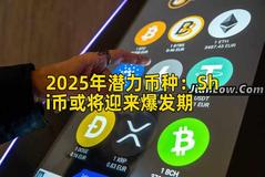 2025年潜力币种：Shi币或将迎来爆发期