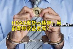 HDAO现货vs质押：当前哪种收益更高？