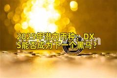 2025年潜力币种：DXS能否成为下一个黑马？