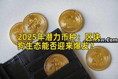 2025年潜力币种：区块狗生态能否迎来爆发？