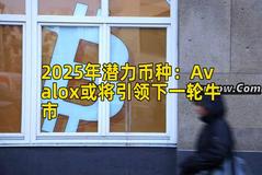 2025年潜力币种：Avalox或将引领下一轮牛市