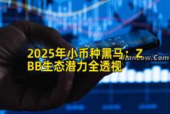 2025年小币种黑马：ZBB生态潜力全透视