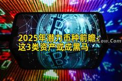 2025年潜力币种前瞻：这3类资产或成黑马