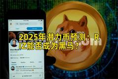 2025年潜力币预测：RIZ能否成为黑马？