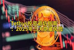 Tethys投资避坑指南：2025年三大隐藏风险