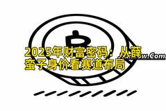 2025年财富密码：从薛蛮子身价看赛道布局