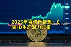 2025年百倍币猜想：CNHD生态潜力分析
