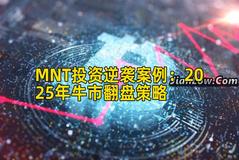 MNT投资逆袭案例：2025年牛市翻盘策略