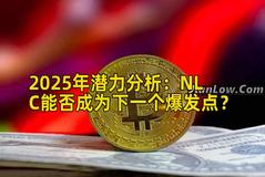 2025年潜力分析：NLC能否成为下一个爆发点？
