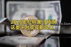 2025年杠杆黑马预测：这类平台或成新风口