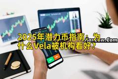 2025年潜力币指南：为什么Vela被机构看好？