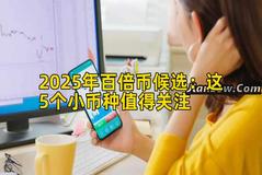 2025年百倍币候选：这5个小币种值得关注