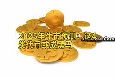 2025年牛市预测：这4类代币或成黑马