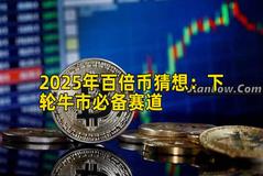 2025年百倍币猜想：下轮牛市必备赛道