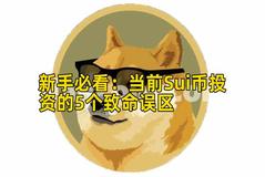 新手必看：当前Sui币投资的5个致命误区