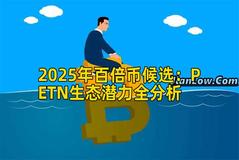 2025年百倍币候选：PETN生态潜力全分析