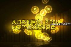 从归零到翻倍：PITBULL硬了后的投资复盘