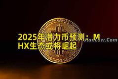 2025年潜力币预测：MHX生态或将崛起