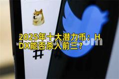 2025年十大潜力币：HDX能否杀入前三？