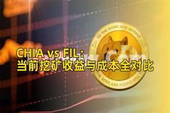 CHIA vs FIL：当前挖矿收益与成本全对比