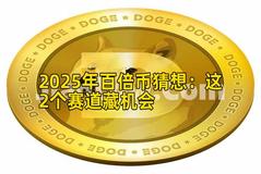 2025年百倍币猜想：这2个赛道藏机会