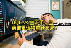 UQC vs 主流币：当前谁更值得重仓布局？