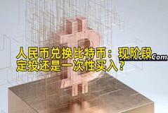 人民币兑换比特币：现阶段定投还是一次性买入？