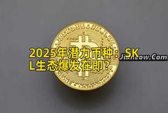 2025年潜力币种：SKL生态爆发在即？