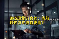 BKS现货vs合约：当前哪种方式收益更高？