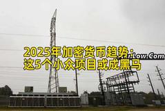 2025年加密货币趋势：这5个小众项目或成黑马