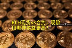 BLH现货vs合约：现阶段哪种收益更高？
