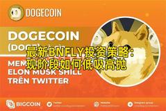 最新BNFLY投资策略：现阶段如何低吸高抛