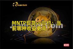 MNTP现货vs合约：当前哪种收益更高？